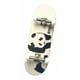 thumbnail image 5 of 2x Lindo Tablero de Patinaje Conjuntos Tablero de Patinaje para Juguetes de Cumpleaños CUTICAT Mini patineta de dedo, 5 of 8