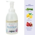 thumbnail image 5 of Ginger Lily Farms Botanicals All-Purpose Foaming Hand Soap Refill, Fragrance Free, 100% Vegan & Cruelty-Free, Unscented, 20 Fl Oz (Pack of 1), 5 of 6