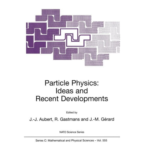 NATO Science Series C: Particle Physics: Ideas and Recent Developments, Book 555, (Paperback)