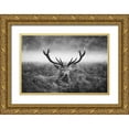 thumbnail image 1 of Fabrowski, Robert 24x17 Gold Ornate Wood Framed with Double Matting Museum Art Print Titled - Majestic, 1 of 4