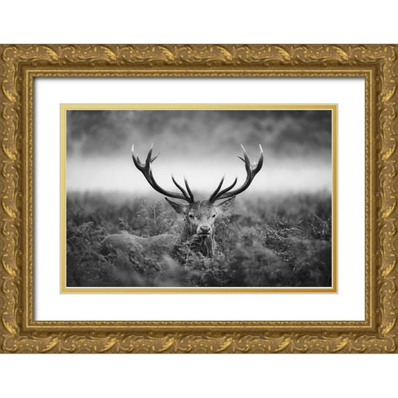 Fabrowski, Robert 24x17 Gold Ornate Wood Framed with Double Matting Museum Art Print Titled - Majestic