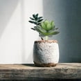 thumbnail image 4 of Artificial Succulents Fake Plant Ornament for Decoration Use 20Pcs Assorted Color PVC Small, 4 of 8