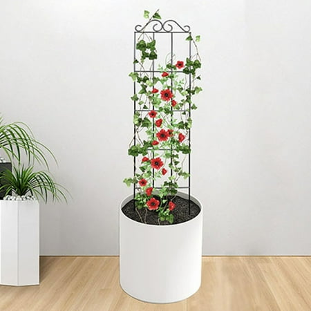 HOMEMAXS 4pcs Plant Climbing Bracket Metal Trellis For Vines And Flowers Iron Wire Plant Support For Indoor And Outdoor Plants Garden And Home Use HOMEMAXS 4pcs Plant Climbing Bracket Metal Trellis For Vines And Flowers Iron Wire Plant Support For Indoor And Outdoor Plants Garden And Home Use