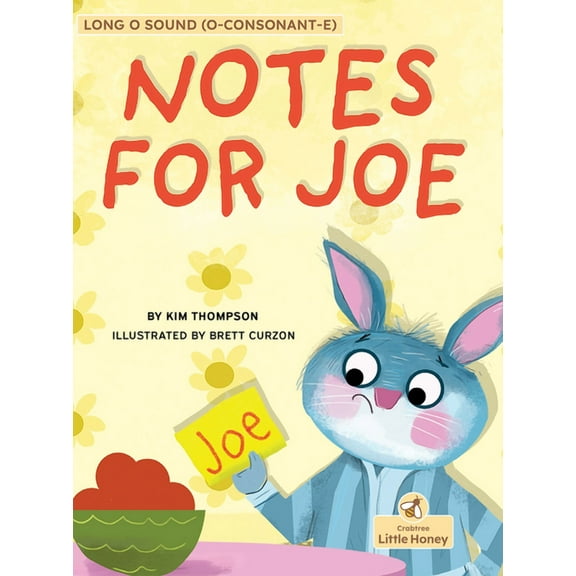 My Decodable Readers Notes for Joe, (Paperback)