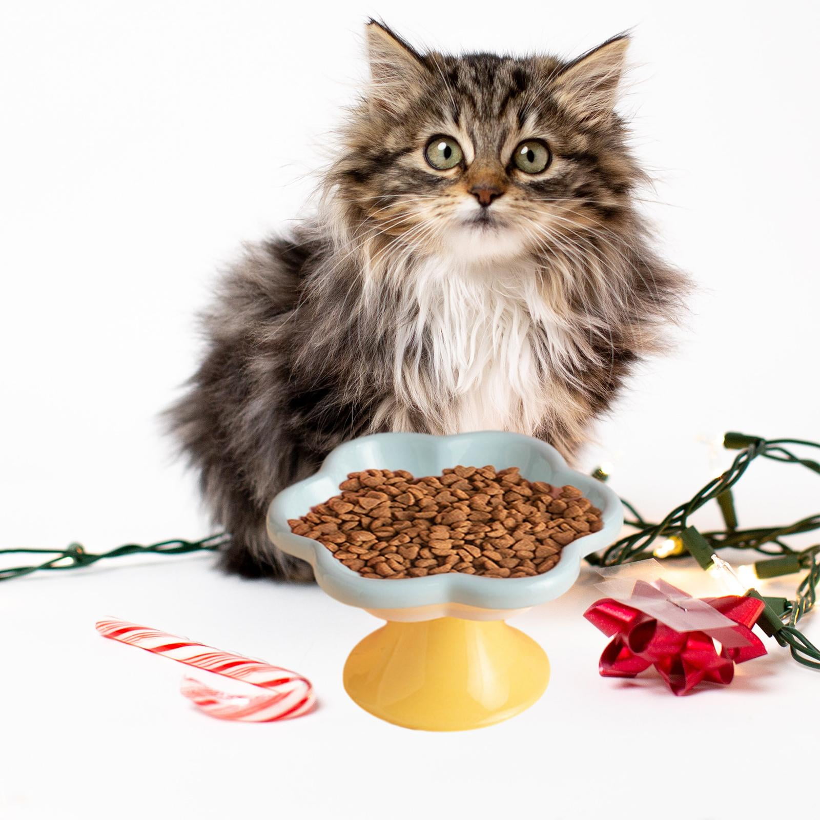 Gazechimp Ceramic Raised Cat Bowls Food Feeding Cat Feeding Bowls for Small Medium Dog Blue