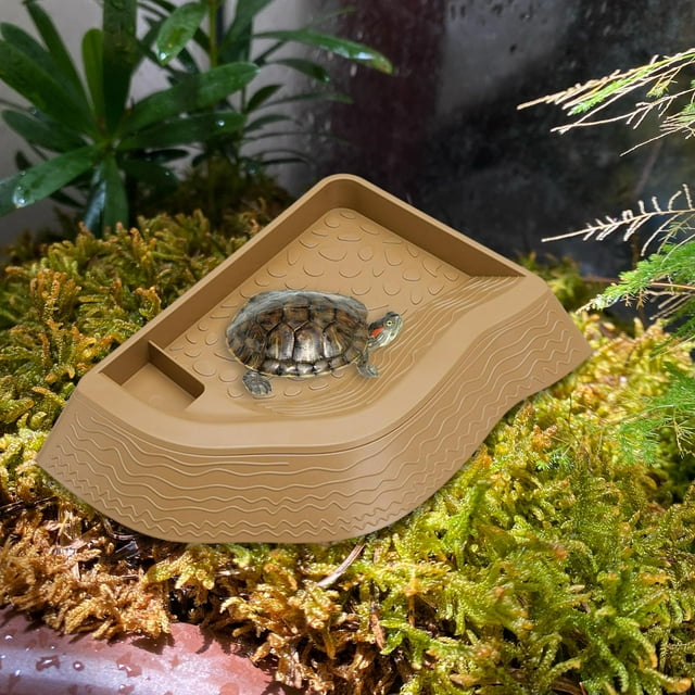 Piscina para tortugas, comedero para tortugas con rampa, plato de comida desmontable, plato de agua para reptiles, para gecos, serpientes, lagartos y Amarillo parduzco