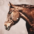 thumbnail image 2 of Prime, Marcus 15x15 White Modern Wood Framed Museum Art Print Titled - Marching Steed, 2 of 4