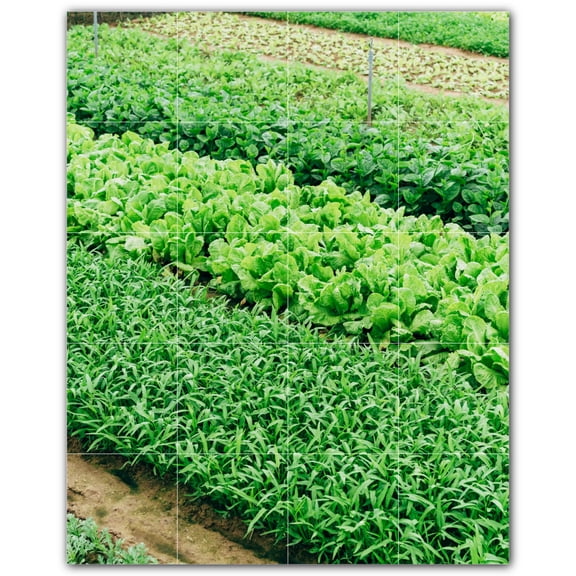 Picture-Tiles.com: Farm Ceramic Tile Wall Mural WAL500578-45M. 24"W x 30"H using (20) 6" x 6" Ceramic Tiles-Satin Finish