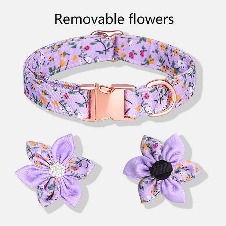 Girl Dog Collars with Flower for Small Medium Large Dogs, Cute Purple Dog  Collar for Female Dogs with Detachable Flower with Flower Bow Tie Ribbon