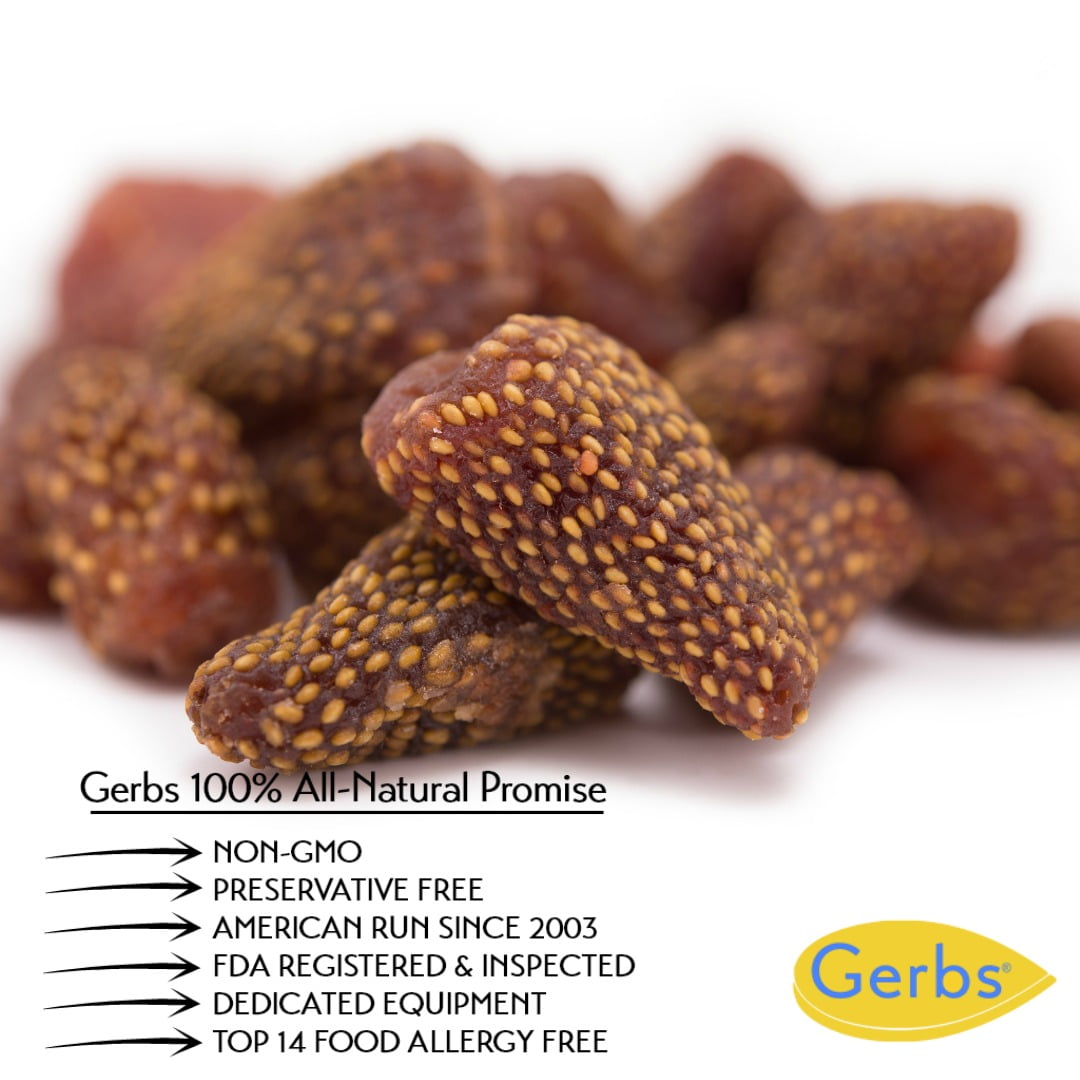 GERBS Summer Sweet Strawberries 2 LBS. | Freshly Dehydrated Resealable Bulk Bag | Top Food Allergy Free | Sulfur Dioxide Free Red Berry | Rich in Vitamins Minerals & Antioxidants| Gluten & Peanut Free