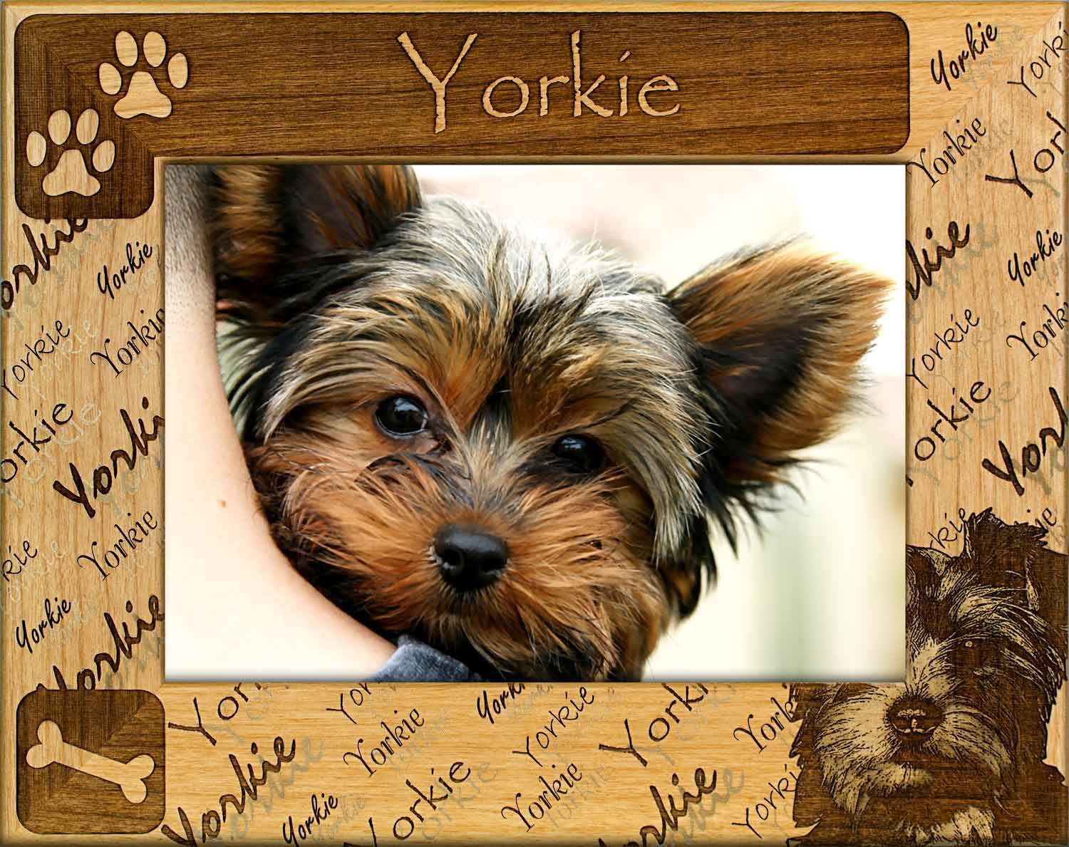 Yorkie Laser Engraved Wood Picture Frame (5 x 7)