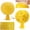 color, variant on RENDZJ Fruit Fly Traps Sticky Fruit Fly Trap Ball Citrus Shaped Flying Insects Traps Ball for Fruit Fly Hoverfly Gnat