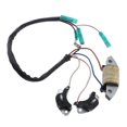 thumbnail image 3 of Heavy Duty Stainless Steel Outboard Engine Ignition Coil Fit for 30HP Outboard Engines, 3 of 6