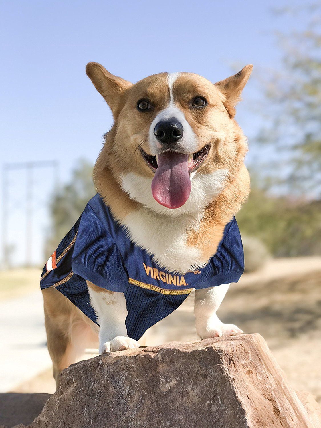 Pets First Collegiate Virginia Cavaliers Football/Basketball Mesh Jersey for Pet Dog. available in 40+ Teams - Extra Small