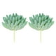 thumbnail image 1 of Plantas suculentas artificiales Uxcell sin maceta, simulación de plantas, verdes, paquete de 2, 1 of 5
