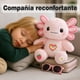 thumbnail image 4 of Ajolote de Peluche Rosa 35 cm, Corazón Arcoíris Bordado, Algodón PP, con Tarjeta de Identidad, Regalo Kawaii, 4 of 5