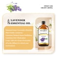 thumbnail image 5 of EUQEE 118ML Lavender Essential Oil for Diffuser, DIY Making, 5 of 8
