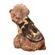 thumbnail image 5 of Fotbe Western Skeleton Cowboy Horse Sudadera con Estampado para Perros Pequeños – Suéter con Capucha para Mascotas, Tela Suave de Forro Polar con Bolsillo-Small, 5 of 7