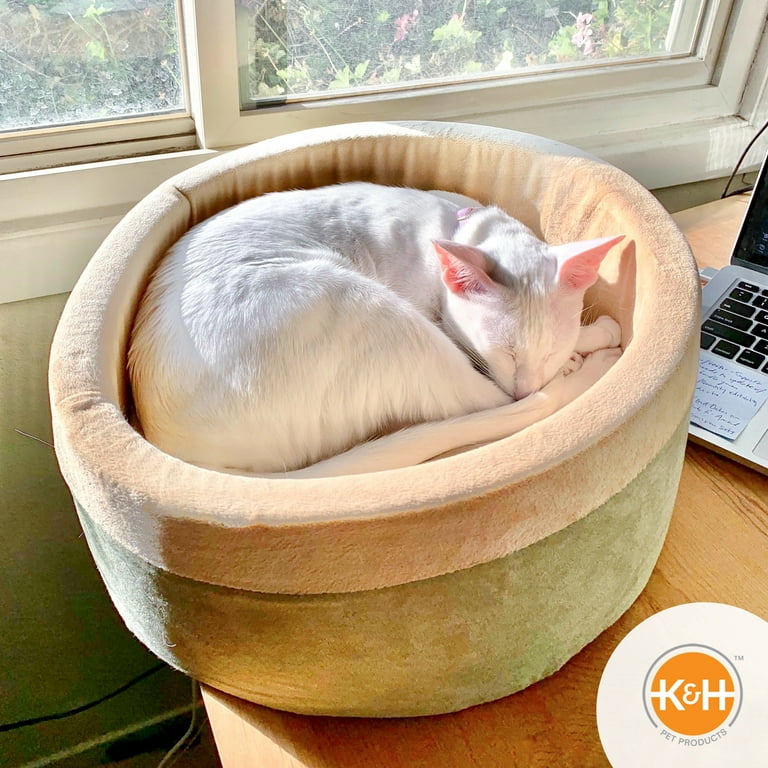 Heated cat 2025 bed walmart
