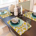 thumbnail image 6 of Placemats Set of 4 / 6, Cheese Placemats for Dining Table Indoor/Outdoors Heat Resistant Washable Placemats 18" x 12", 6 of 8