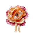 thumbnail image 1 of Yhmxh Alfombrilla de suelo de barro diatomeo floral de 38 cm para baño, puerta de baño, absorbente y antideslizante., 1 of 2