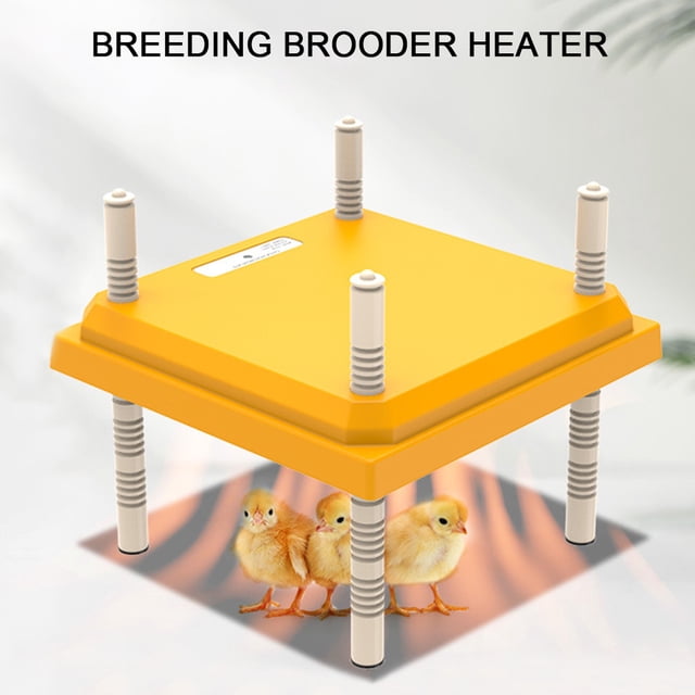 Criadora Con Calentador De Pollitos Calentador de aves de corral con placa acrílica Facilidad de limpieza FG-25 Enchufe británico) Amarillo