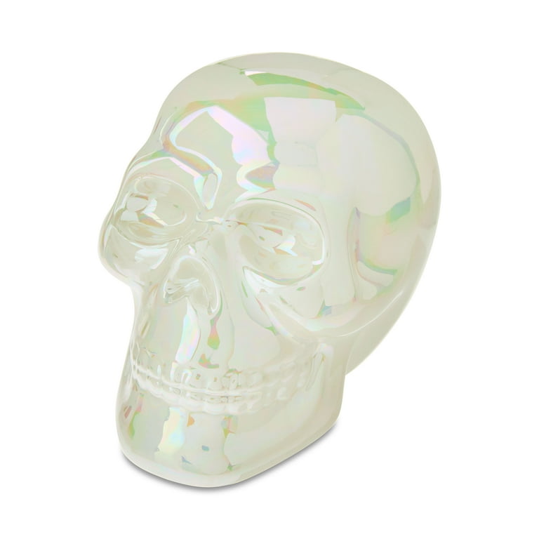 THE SKULL DISK NATURE TONES × DAMNGOOD THE SKULL DISK NATURE TONES × DAMNGOOD THE SKULL DISK