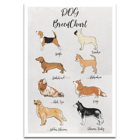 Visionary Prints 'Dog Breed Chart Print' | Animals Wall Art - Brown ...