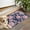 Pioneer Flower Floral-4, variant on Pioneer Flower Floral Print Pattern Door Rugs,Washable Non Slip Door Mats Indoor,Decorative Door Mats,Entry Mat Indoor for Entrance,Bedroom,Kitchen,Bathroom,17"x30"