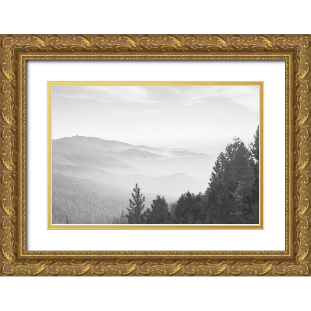 Murdock, Ramona 32x23 Gold Ornate Wood Framed with Double Matting ...