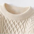 thumbnail image 6 of Men's Crew Neck Cable Knit Sweater Long Sleeve Relaxed Fit Pullover Thick Knitwear Casual Tops for Fall Winter Daily Wear White 4XL, 6 of 6