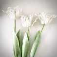 thumbnail image 3 of (Blanco 3D) Flor artificial hidratante 3D Loro Tulipán Ramo de flores de seda individual, 3 of 14