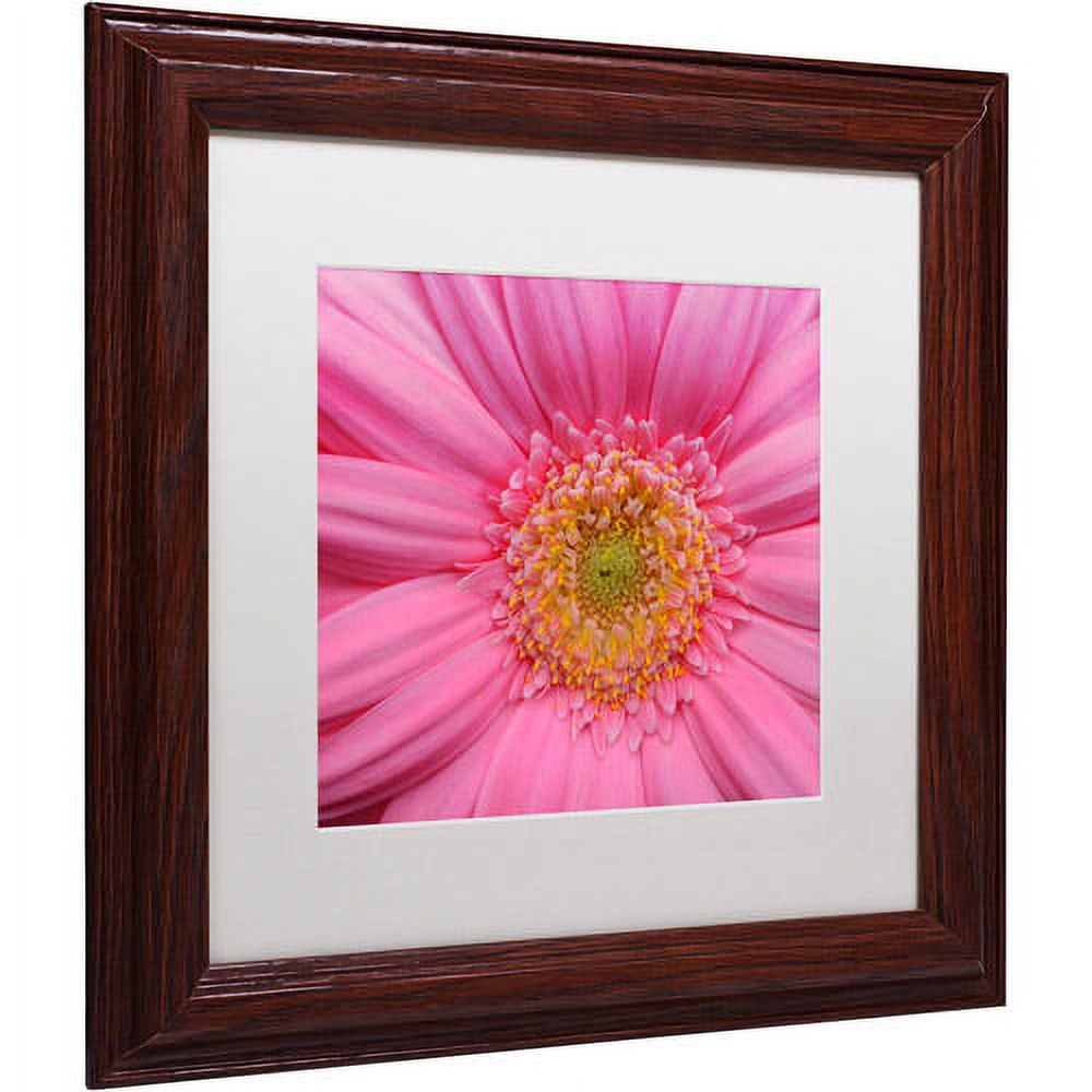 Trademark Fine Art "Pink" Canvas Art by Kurt Shaffer White Matte, Wood Frame