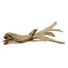 DIY Wedding Koyal Wholesale California Driftwood with Natural Brown Branches, 24-Inch