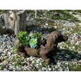thumbnail image 3 of Zeckos Brown Resin Distressed Dachshund Dog Indoor Outdoor Planter Pot, 3 of 7