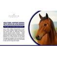 thumbnail image 6 of Clenvia Horse Paste 10% – 4 Pack – 25g Syringes – Oral Deworming Paste for Horses of All Ages – Easy-to-Administer Equine Care, 6 of 8