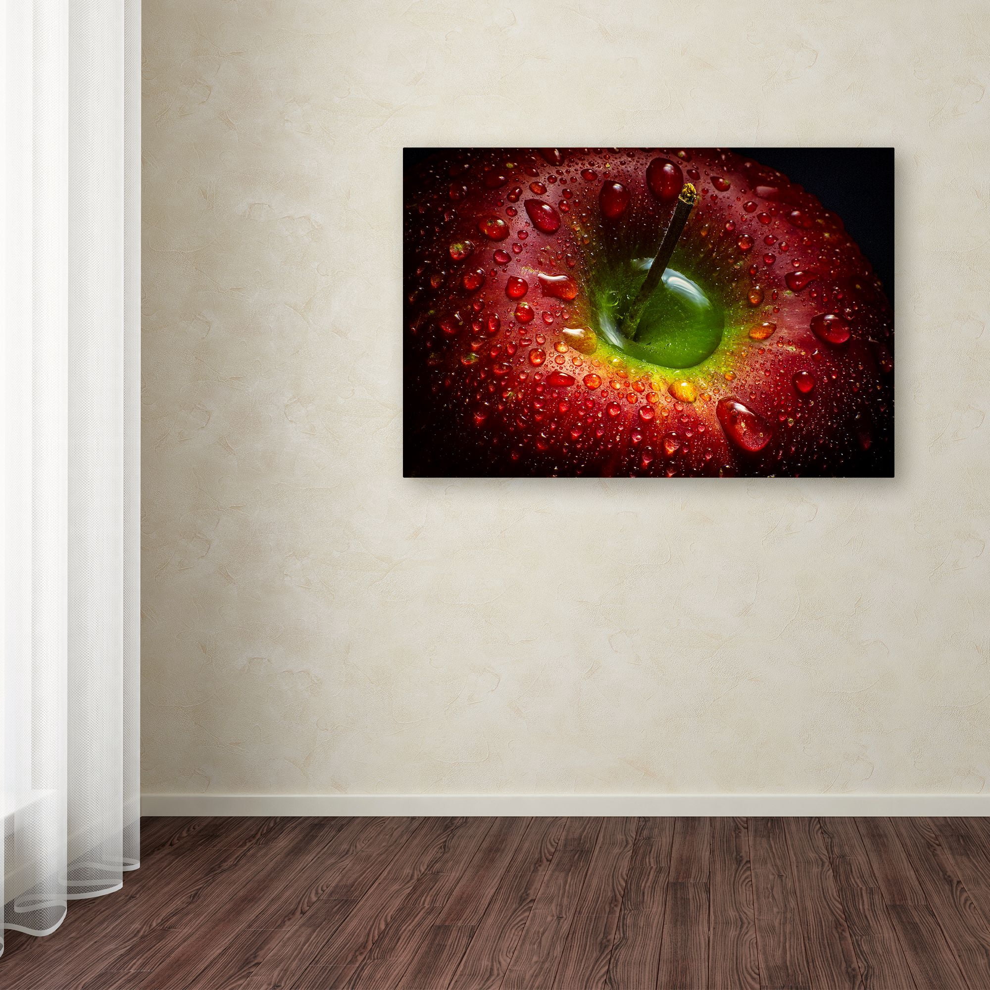Trademark Fine Art 'Red Apple' Canvas Art by Aida Ianeva