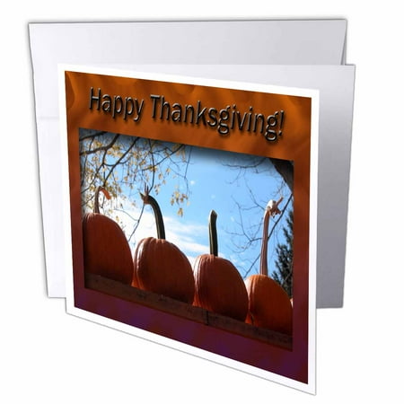 - 3dRose Thanksgiving Pumpkins, Greeting Cards, 6 x 6 inches, set of 12