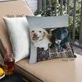 thumbnail image 1 of Ahgly Company Dogs Dogs Outdoor Throw Pillow, 18 inch by 18 inch, 1 of 6