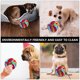 thumbnail image 3 of 2 unids PET PET PERRO SNIFF TOY PUPPY PETHING PET PER PERRO DOG MASCKING TOJO BOLAS DE ALIMENTADOR LENTO, 3 of 6