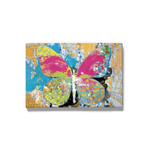 Image Conscious Sprayed Butterfly Wrapped Canvas -Porter Hastings Designs, Wall Art 20 x 30 in