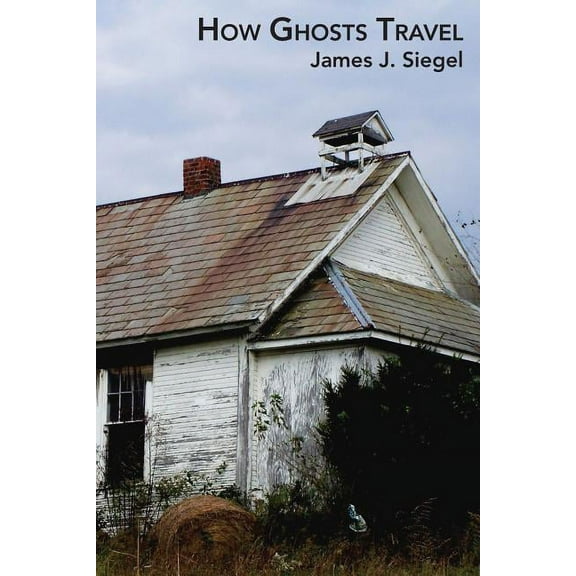 How Ghosts Travel (Paperback)