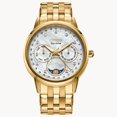 thumbnail image 1 of Citizen Calendrier Eco-Drive Montre pour Femmes FD0002-57D, 1 of 3