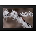 thumbnail image 2 of Hellmann, Stan 18x13 Black Modern Framed Museum Art Print Titled - Winter Fence, 2 of 5