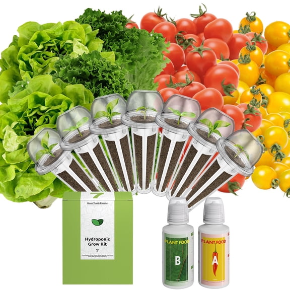 inbloom Organic Salad Pod Kit – 7 Pods with Fast & Butter Lettuce, Red & Golden Cherry Tomato, Compatible with AeroGarden & Ahopegarden Hydroponic Systems – Low‑Calorie Garden Greens