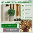 thumbnail image 6 of Gaderth Boxwood Topiary Bush, 2 Pack Artificial Topiary with Ground Spike, Evergreen Plants Topiary Ball Tree, Fake Greenery Shrub Faux Plant Fall Decorations Flower for Garden Yard Porch, 6 of 7