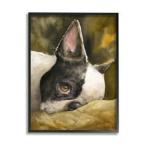 Stupell Industries Boston Terrier Resting Dog Pet Portrait Black Brown Black Framed, 24 x 30, Design by George Dyachenko