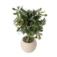 thumbnail image 4 of Better Homes & Gardens Realistic Artificial Olive Plant with Tan Ceramic Vase, 15-Inch, 4 of 7