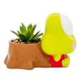 thumbnail image 3 of Mini maceta plateada con tocón de búfalo Sanrio Keroppi con suculentas, 3 of 8