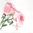 thumbnail image 3 of Atelier B Art Studio 12x12 Black Modern Framed Museum Art Print Titled - Watercolor Pink Roses, 3 of 5